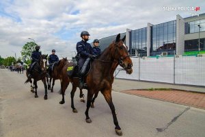 policjanci na koniach służbowych w marszu