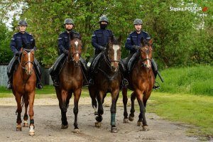 policjanci w szeregu siedzą na koniach służbowych i pozują do zdjęcia