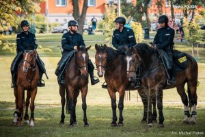 policjanci w szeregu na koniach
