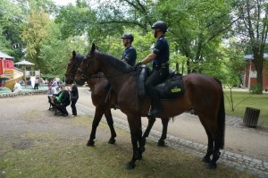 dwóch policyjnych jeźdźców na koniach patrolują park