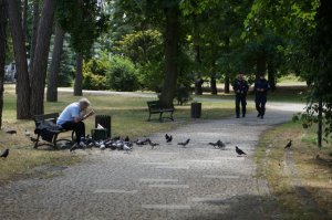 dwóch policjantów patroluje park. na ławce siedzi mężczyzna przy nim na ścieżce chodzą gołębie
