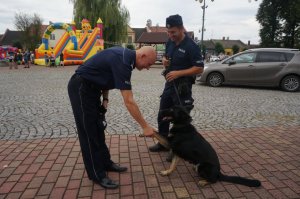 Komendant schyla się do psa służbowego, który podaje mu łapę