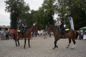 konie służbowe podczas pokazu umiejętności jeździeckich