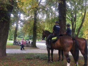 dwa policyjne konie z jeżdźcami w parku jasnogórskim