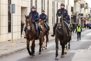 jeżdźcy policyjni na koniach