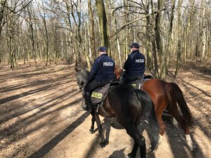 policjanci na koniach służbowych patrolują ulice i parki miasta Częstochowy