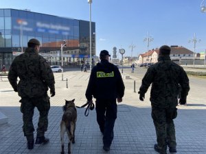 policjant z psem służbowym, patroluje Aleje wspólnie z żołnierzami