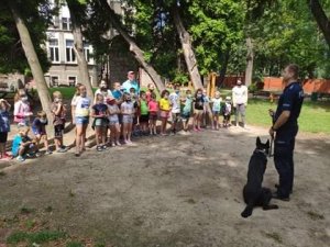 policjant z psem stoi przed grupą dzieci i rozmawia o bezpieczeństwie