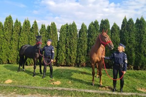 na zdjęciu dwa nowe konie w częstochowskiej policji obok nich stoją ich jeźdźcy